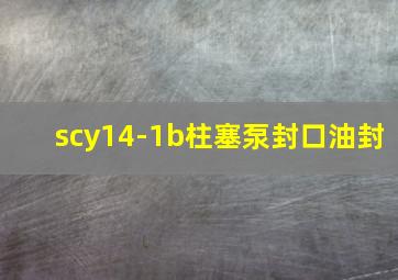 scy14-1b柱塞泵封口油封