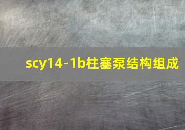 scy14-1b柱塞泵结构组成