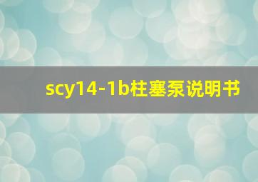 scy14-1b柱塞泵说明书