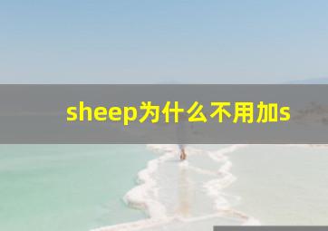 sheep为什么不用加s