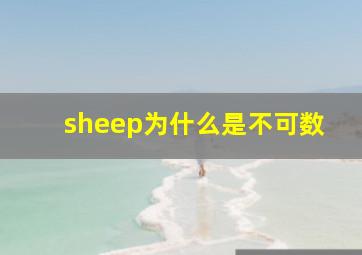 sheep为什么是不可数