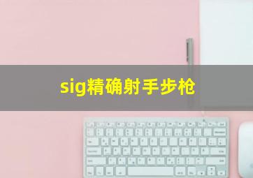 sig精确射手步枪