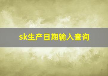 sk生产日期输入查询