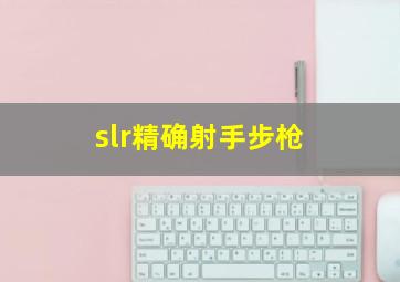 slr精确射手步枪