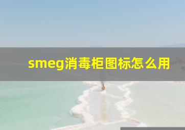 smeg消毒柜图标怎么用