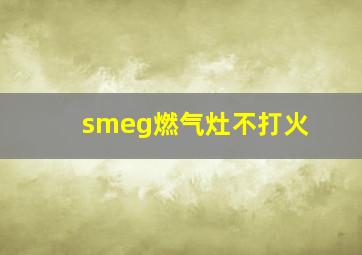 smeg燃气灶不打火