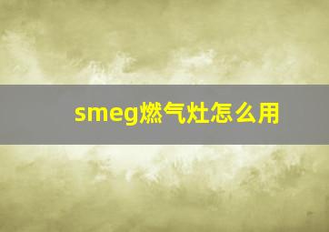 smeg燃气灶怎么用