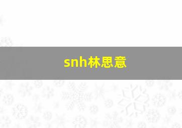 snh林思意