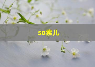 so索儿