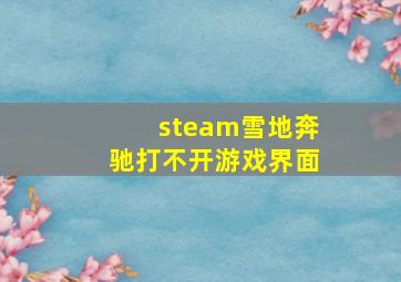 steam雪地奔驰打不开游戏界面