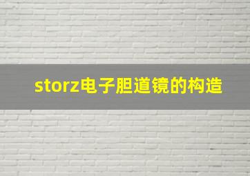 storz电子胆道镜的构造