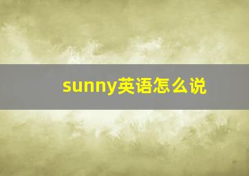 sunny英语怎么说