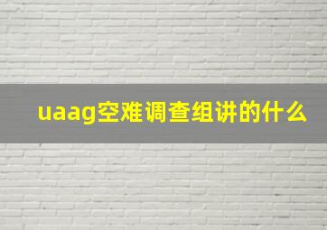 uaag空难调查组讲的什么