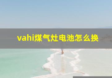 vahi煤气灶电池怎么换