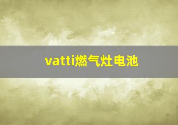 vatti燃气灶电池