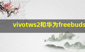 vivotws2和华为freebudspro