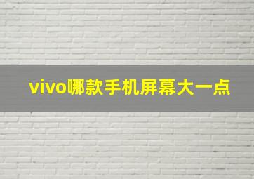 vivo哪款手机屏幕大一点