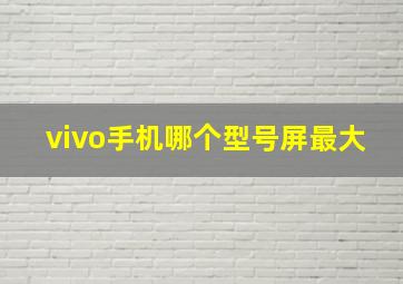 vivo手机哪个型号屏最大