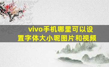 vivo手机哪里可以设置字体大小呢图片和视频