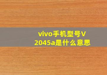 vivo手机型号V2045a是什么意思