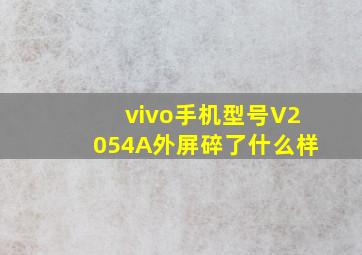 vivo手机型号V2054A外屏碎了什么样