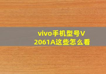 vivo手机型号V2061A这些怎么看