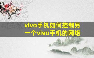 vivo手机如何控制另一个vivo手机的网络