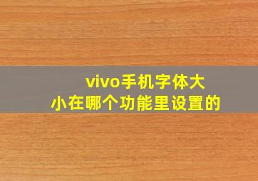 vivo手机字体大小在哪个功能里设置的