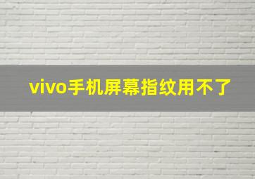 vivo手机屏幕指纹用不了