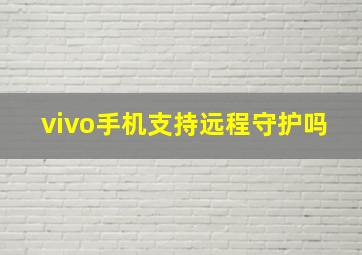 vivo手机支持远程守护吗