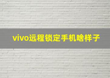 vivo远程锁定手机啥样子