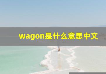 wagon是什么意思中文