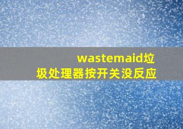 wastemaid垃圾处理器按开关没反应