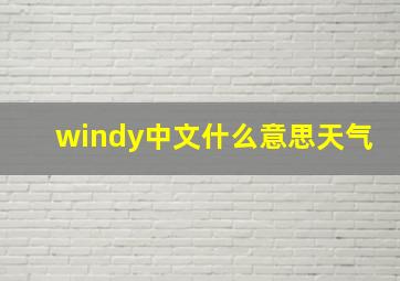 windy中文什么意思天气