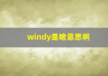 windy是啥意思啊