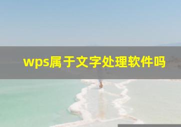 wps属于文字处理软件吗