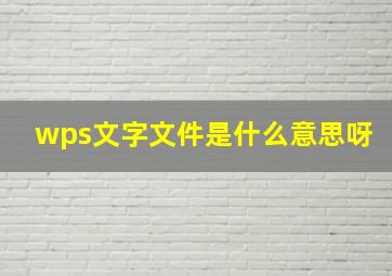 wps文字文件是什么意思呀