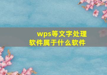 wps等文字处理软件属于什么软件