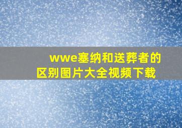 wwe塞纳和送葬者的区别图片大全视频下载