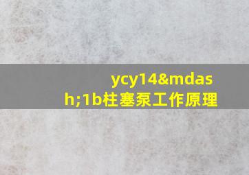 ycy14—1b柱塞泵工作原理