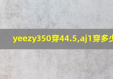 yeezy350穿44.5,aj1穿多少码