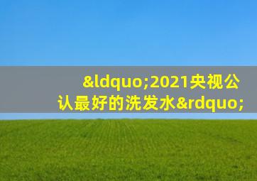 “2021央视公认最好的洗发水”