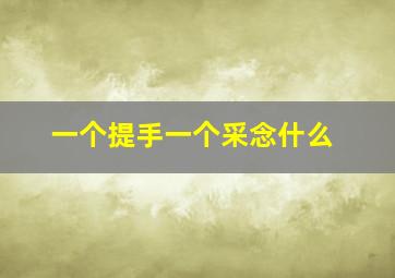 一个提手一个采念什么