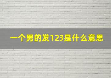 一个男的发123是什么意思