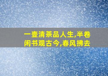 一壶清茶品人生,半卷闲书观古今,春风拂去