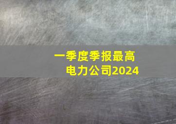 一季度季报最高电力公司2024