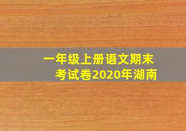 一年级上册语文期末考试卷2020年湖南