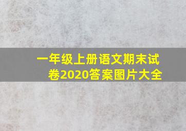 一年级上册语文期末试卷2020答案图片大全