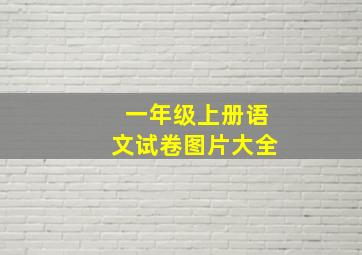 一年级上册语文试卷图片大全