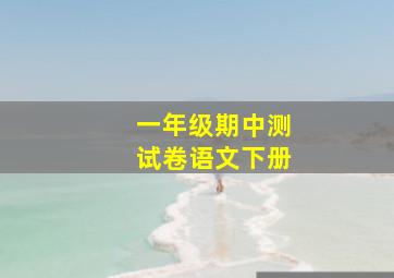 一年级期中测试卷语文下册